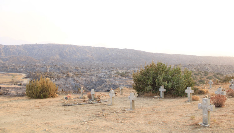 view of crosses with burnt brush behind