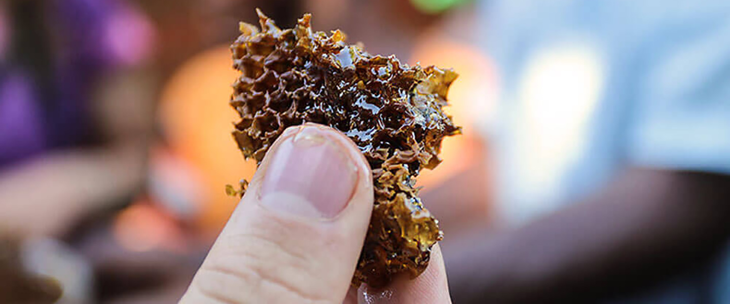 A person holds up a piece of Zambia Gold honeycomb