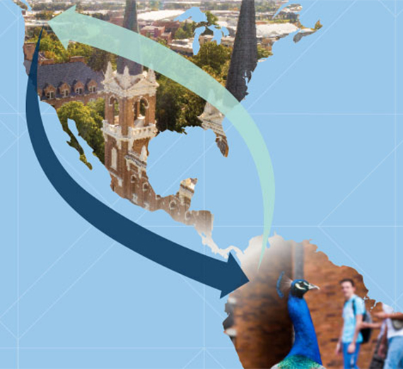 illustration of colorful colombian village