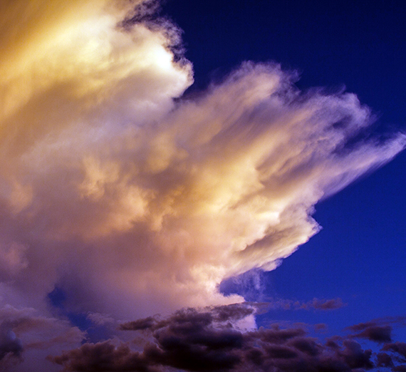 Students installed a pair of floating islands to provide a foothold for native plant species, turtles, and waterfowl. (Photo courtesy Greg Gordon)