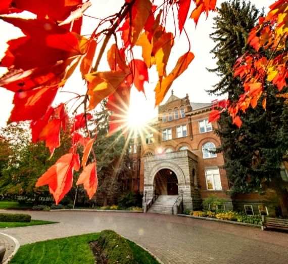 At the top of the photo, there are red fall leaves on a tree branch. Beneath it, College Hall is seen. Between College Hall and the red leaves is the bright sun. 