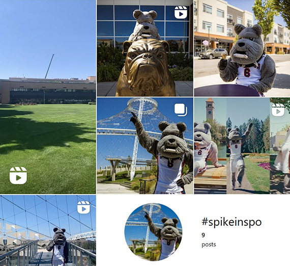 A screenshot of #spikeinspo posts on Instagram A screenshot of #spikeinspo posts on Instagram