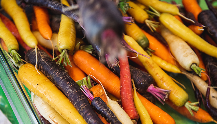 multi-colored carrots in a pile multi-colored carrots in a pile