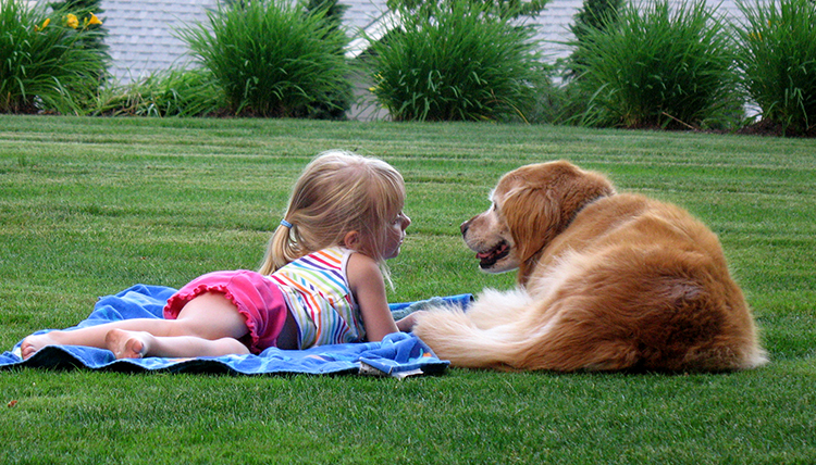 child and golden retriever lie on the ground together child and golden retriever lie on the ground together