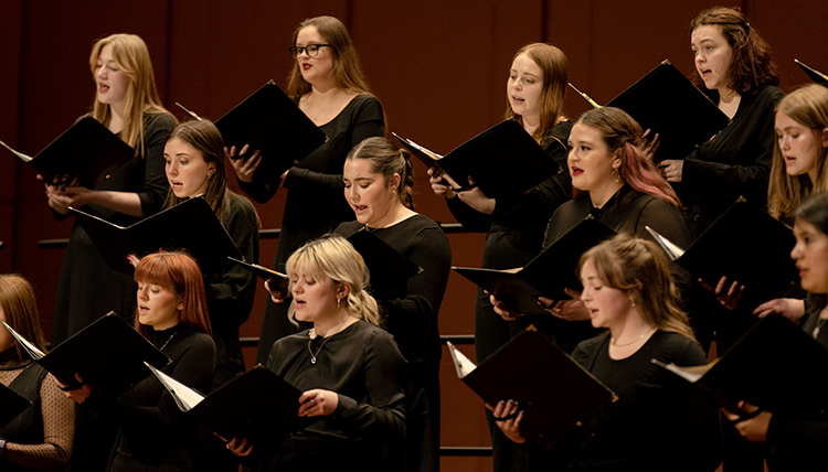 Image of Discantus Singers Image of Discantus Singers
