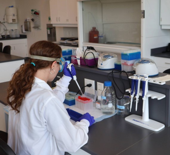 Human Physiology student works with pipette in cell and molecular lab.