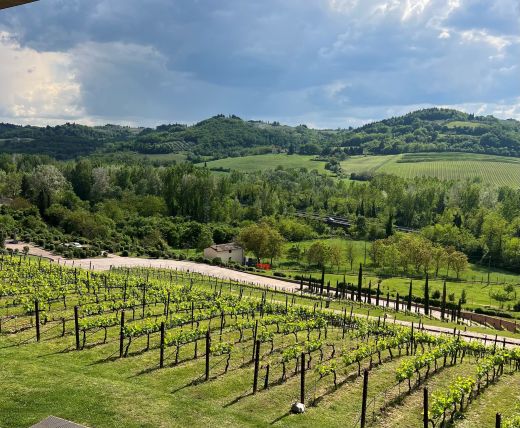 AntinoriWineryItaly