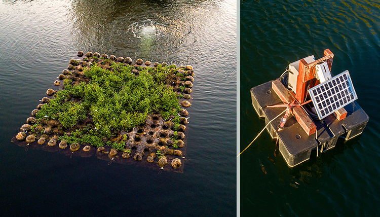 floating island of plants and floating data collector floating island of plants and floating data collector