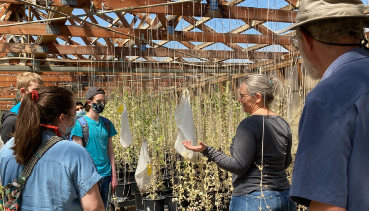 Students in a green house with scientist Students in a green house with scientist