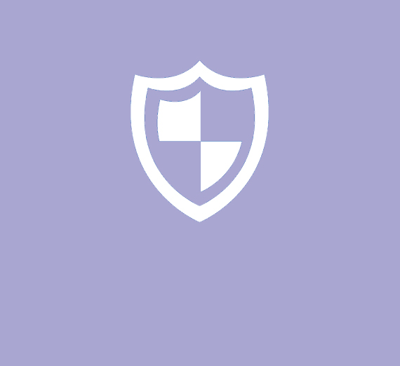 Graphic of  shield
