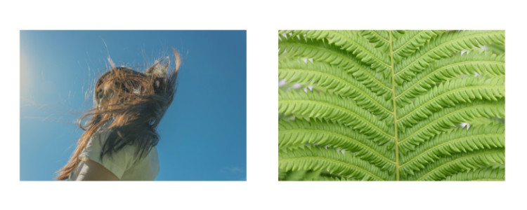 Photos of a person's long hair in the wind, and a close up of a fern. Photos of a person's long hair in the wind, and a close up of a fern.