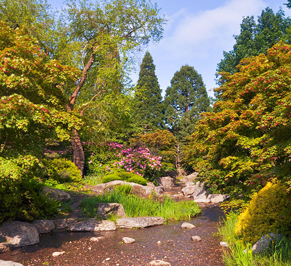 garden