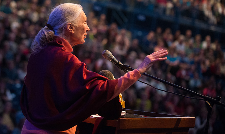 Dr. Jane Goodall Dr. Jane Goodall