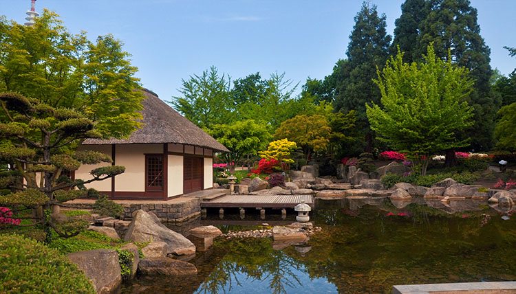 garden garden