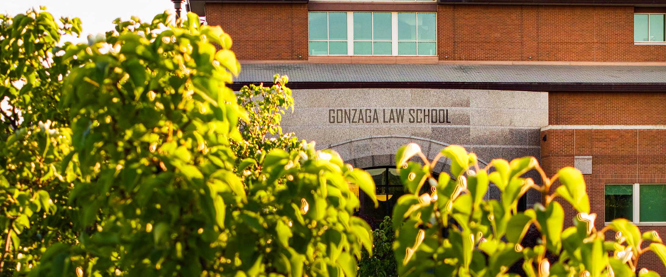 photo of a tree in front of the gonzaga law school.