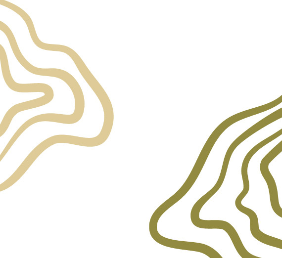 Decorative Image