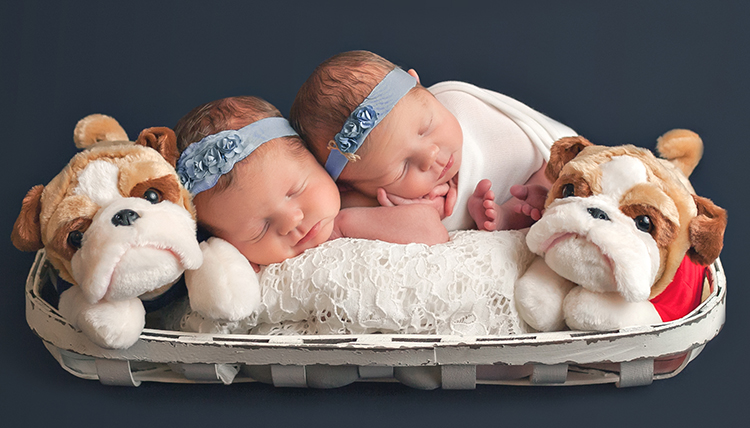 twin infant girls cuddle in a basket with stuffed bulldog puppies twin infant girls cuddle in a basket with stuffed bulldog puppies