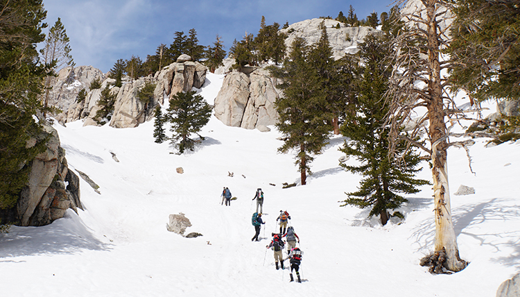 hikers ascend into the woods on the mountain hikers ascend into the woods on the mountain