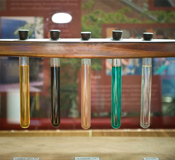 Beakers containing different colors