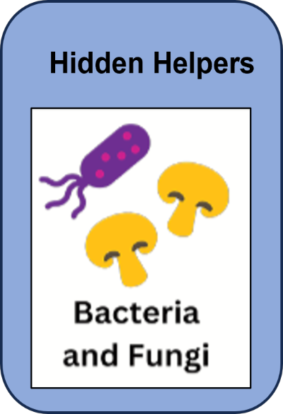Seed-Hidden-Helper-Game-Card.png