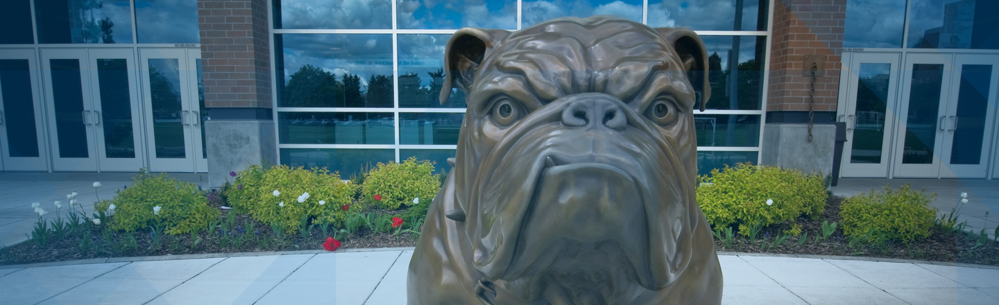 Bronze Bulldog
