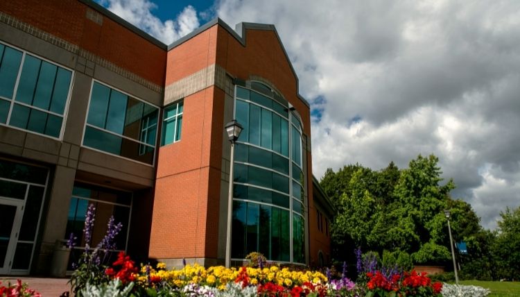 A shot of Rosauer from the back. The shot is taken looking up, with flowers at the bottom and clouds in the sky. A shot of Rosauer from the back. The shot is taken looking up, with flowers at the bottom and clouds in the sky.