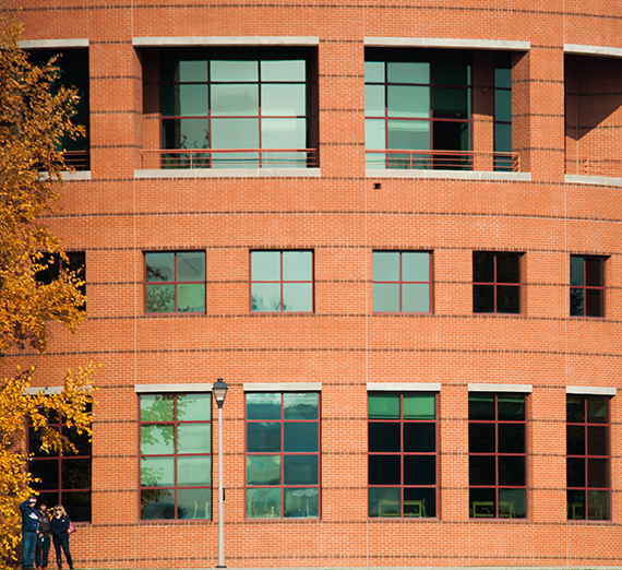 Foley Library