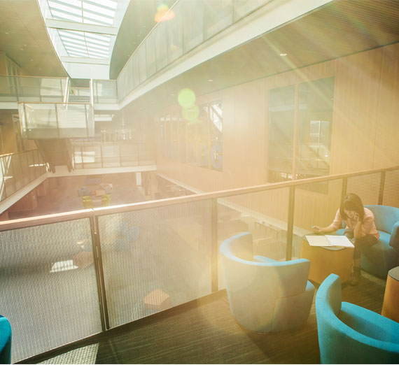 hemmingson center 
