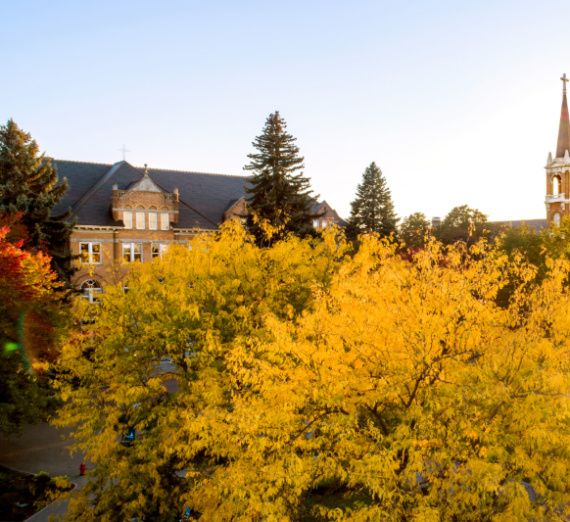Fall