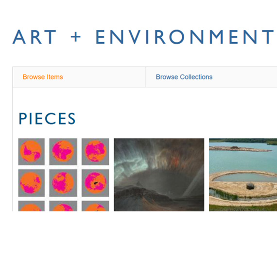 Screen shot of art + environment digital project