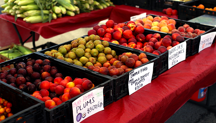 Produce on display at a farmers market, including plums, peaches, and corn. Produce on display at a farmers market, including plums, peaches, and corn.