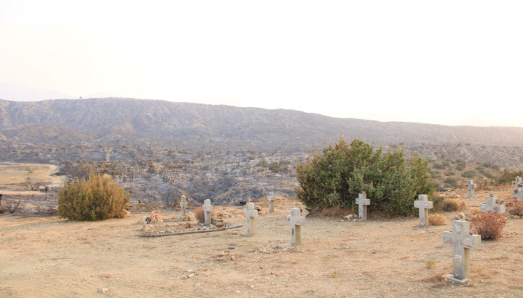 view of crosses with burnt brush behind view of crosses with burnt brush behind
