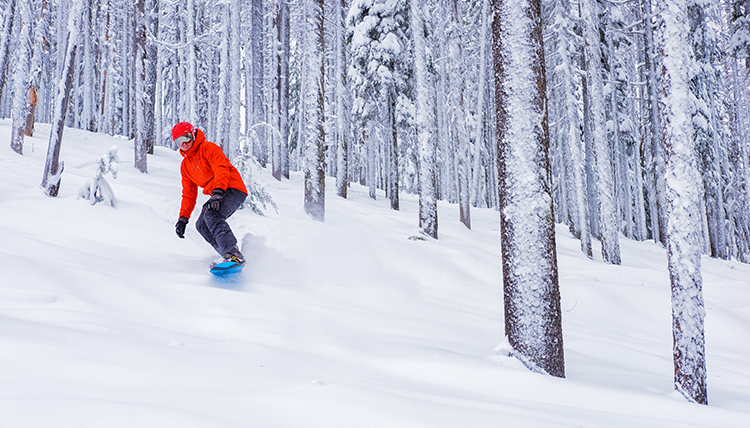 A man snowboards through snow covered trees on a snowy slope. A man snowboards through snow covered trees on a snowy slope.
