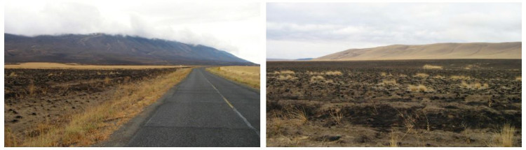 Burned fields