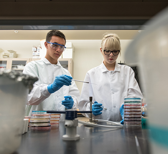 Gonzaga Chemistry students working in the lab.