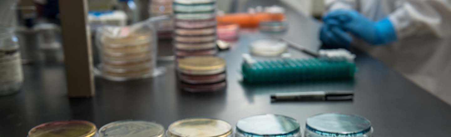 Petri dish in lab