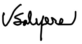 Salyers-signature.jpg