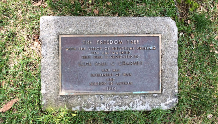 Freedom tree plaque for Charvet's memorial Freedom tree plaque for Charvet's memorial