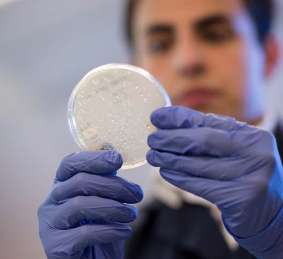 Gonzaga's Biology Department Undergraduate Research Program
