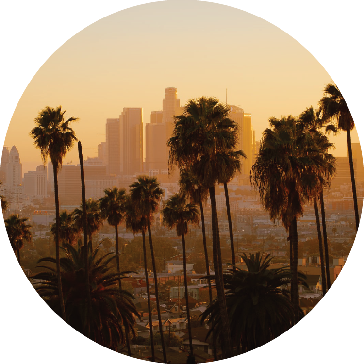 A tall row of dark palm trees contrast with the hazy orange background showing the Los Angeles city skyline. A tall row of dark palm trees contrast with the hazy orange background showing the Los Angeles city skyline.