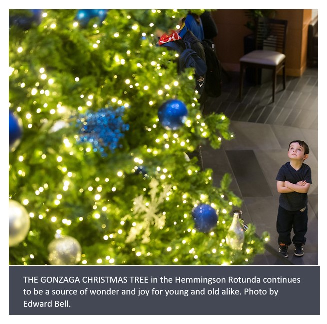Child looking up at the Hemmingson tree in the Hemmingson Center rotunda