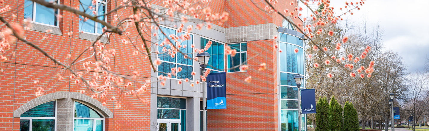 Building in spring