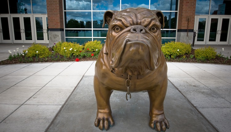 Spike the bulldog. Spike the bulldog.
