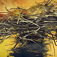 Mary Farrell artwork Mary Farrell artwork