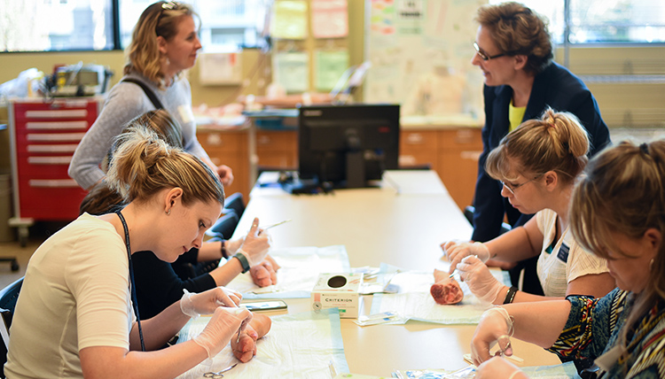 Gonzaga's School of Nursing and Human Physiology Nursing Department Open House demo of stitching with pig feet Gonzaga's School of Nursing and Human Physiology Nursing Department Open House demo of stitching with pig feet