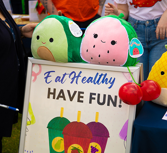 Two squishmallows are perched above a sign that reads 