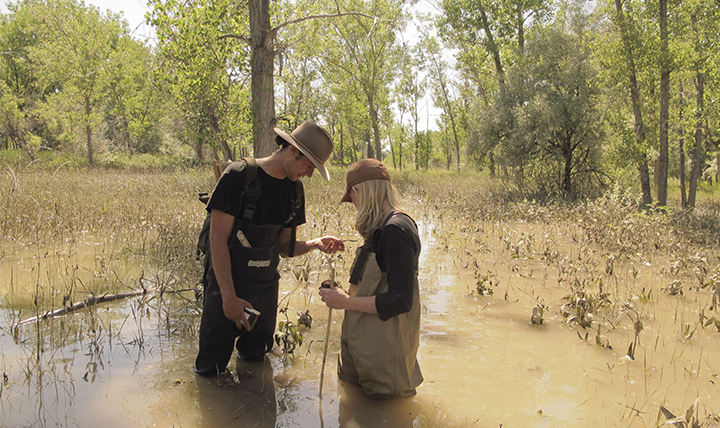 Alexis Bonogofsky assesses the damage done by an oil spill in a wetland. Alexis Bonogofsky assesses the damage done by an oil spill in a wetland.
