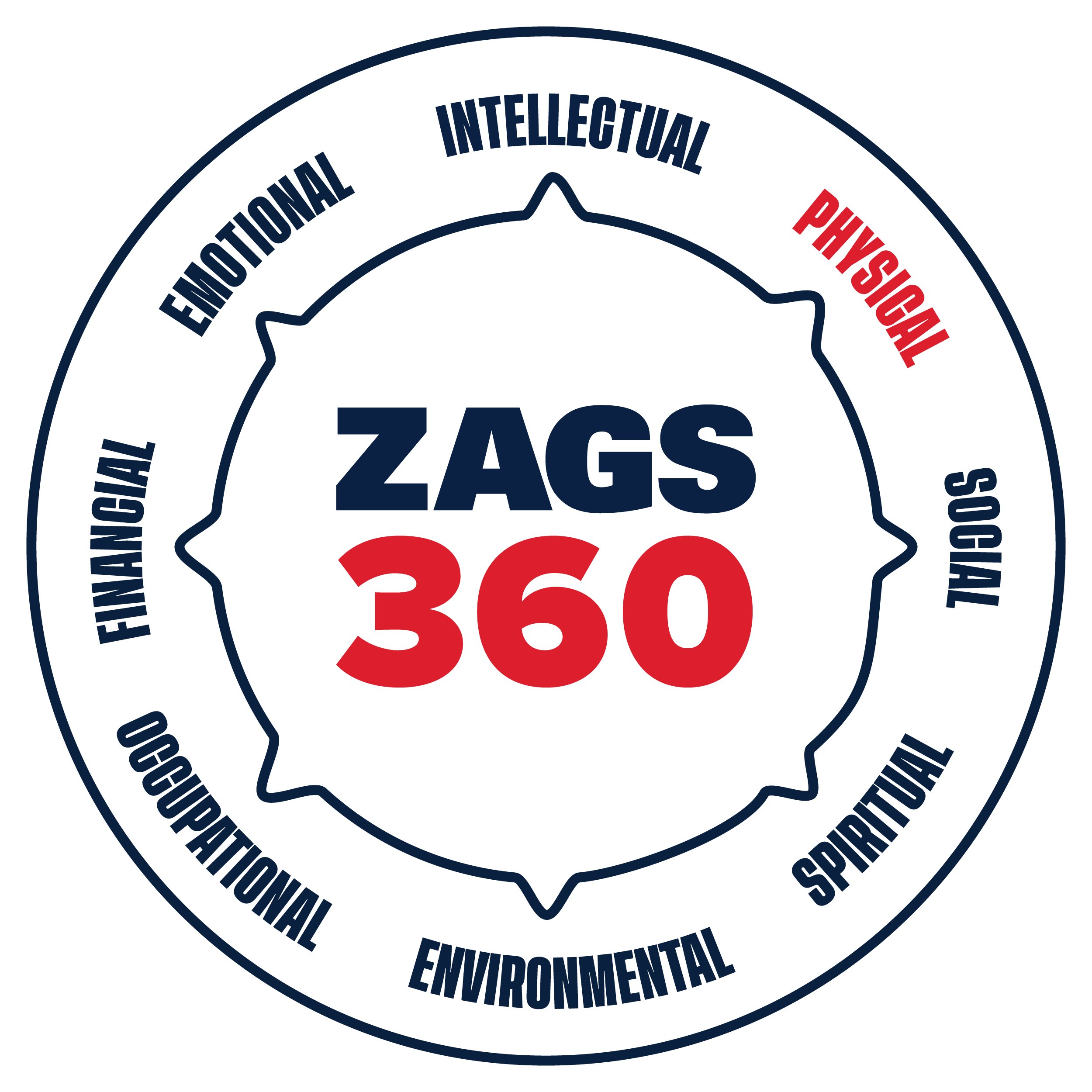 zags360_SAMHSA_wheel_highlights_physical decorative image