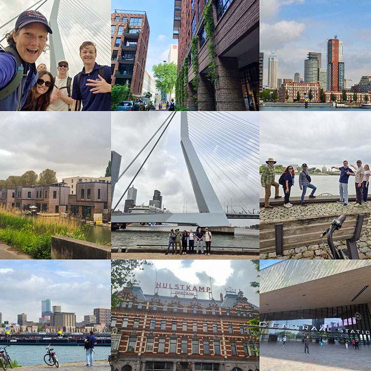 A collection of multiple scenes from Rotterdam