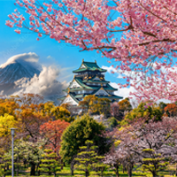 bc-Japan.png
